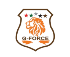 G-force security 